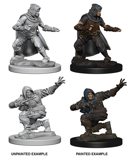 Pathfinder Battles: Deep Cuts Miniatures | Male Human Rogue (B)