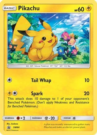 Pikachu SM86/248 - SM Promos Holofoil