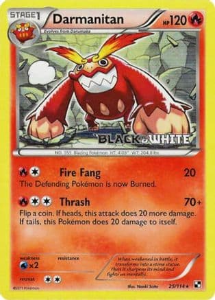 Darmanitan (Prerelease) 25/114 - Black and White Promos Holofoil