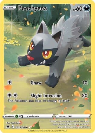 Poochyena GG33/70 - SWSH Crown Zenith Galarian Gallery Holofoil