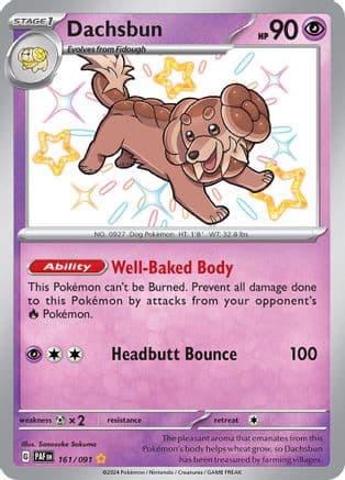 Dachsbun 161/091 - Holofoil SV Paldean Fates - Shiny Rare
