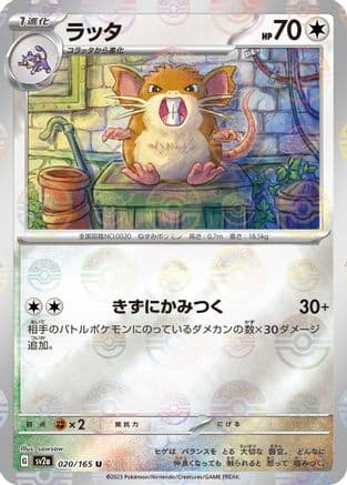 Raticate (Poke Ball Pattern) (020/165) (Japanese) - SV2a Pokemon Card 151 Holofoil