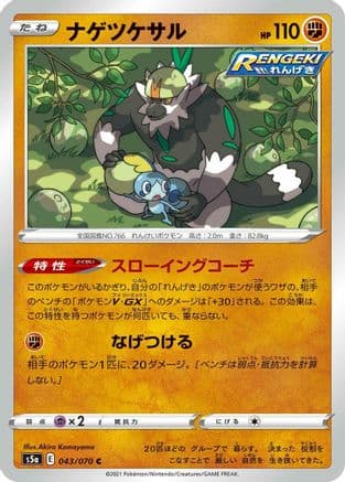 Passimian (043/070) (Japanese) - S5a Peerless Fighters