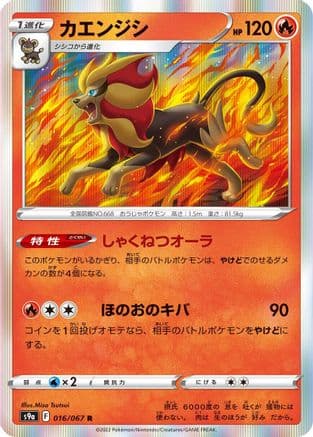Pyroar (016/067) (Japanese) - S9a Battle Region Holofoil