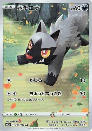 Poochyena - 208/172 (208/172) (Japanese) - S12a VSTAR Universe Holofoil