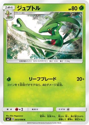 Grovyle (Japanese) - SM7 SkySplitting Charisma