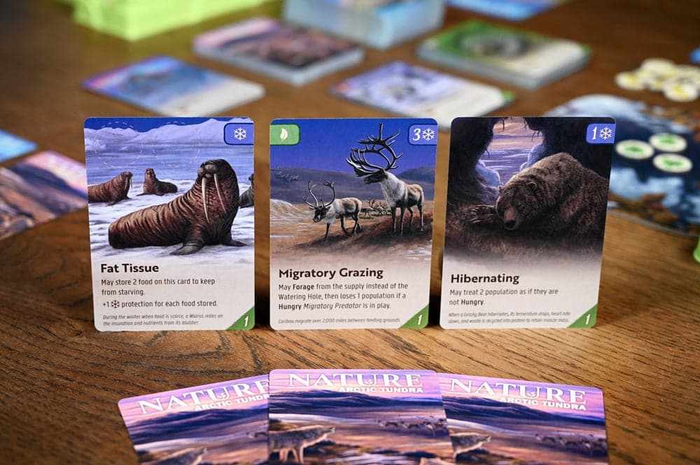 Nature | Module 4 - Arctic Tundra Expansion (First Edition)