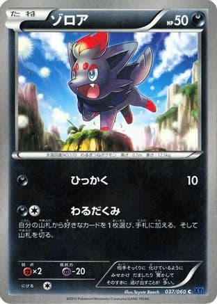 Zorua (037/060) (Japanese) - XYBx Collection X Unlimited