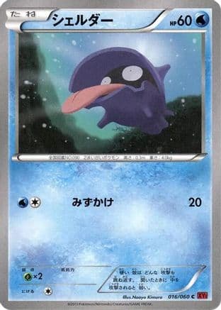 Shellder (016/060) (Japanese) - XYBy Collection Y 1st Edition