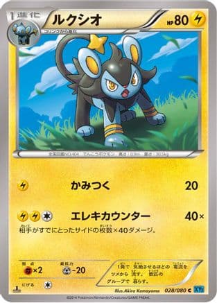 Luxio (028/080) (Japanese) - XY2 Wild Blaze Unlimited