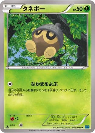 Seedot (005/080) (Japanese) - XY2 Wild Blaze Unlimited