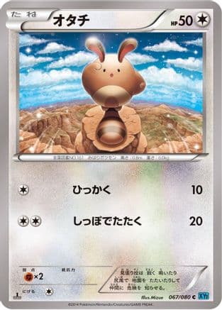 Sentret (067/080) (Japanese) - XY2 Wild Blaze 1st Edition