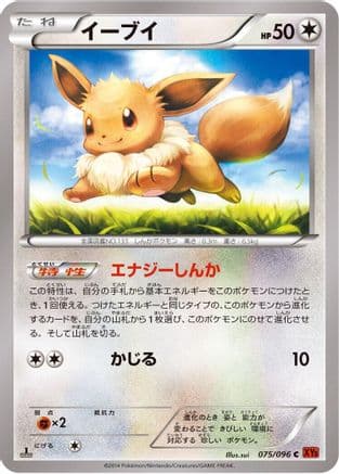 Eevee (075/096) (Japanese) - XY3 Rising Fist Unlimited