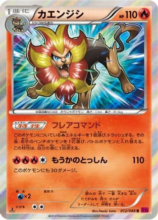 Pyroar (012/088) (Japanese) - XY4 Phantom Gate Unlimited Holofoil