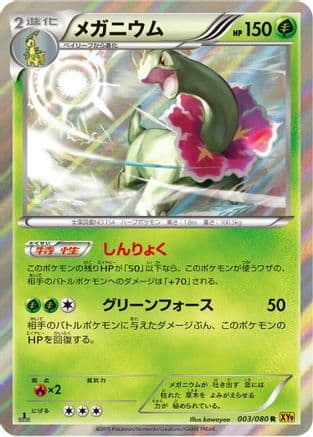 Meganium (003/080) (Japanese) - XY9 Rage of the Broken Heavens 1st Edition Holofoil