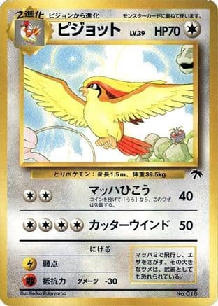 Pidgeot (Japanese) - Southern Island