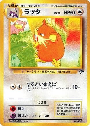 Raticate (Japanese) - Southern Island