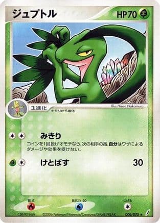 Grovyle (006/075) (Japanese) - Miracle Crystal 1st Edition