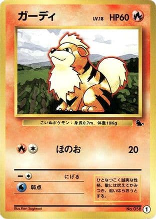 Growlithe - 1 (1) (Japanese) - Intro Pack Squirtle