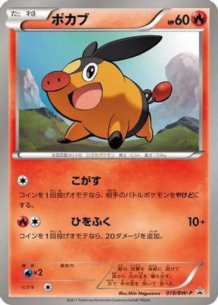 Tepig - 019/BW-P (019/BW-P) (Japanese) - BWP Promotional cards
