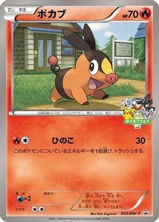 Tepig - 043/BW-P (043/BW-P) (Japanese) - BWP Promotional cards