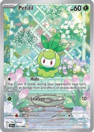 Petilil 091/086 - SV Black Bolt Holofoil