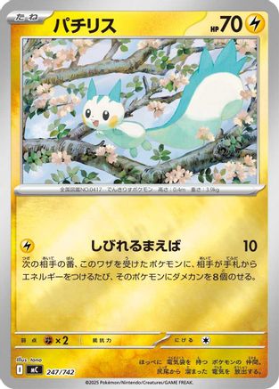 Pachirisu (247/742) (Japanese) - Start Deck 100 Battle Collection