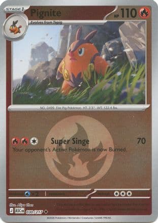 Pignite (Energy Symbol Pattern) 030- ME Ascended Heroes Reverse Holofoil