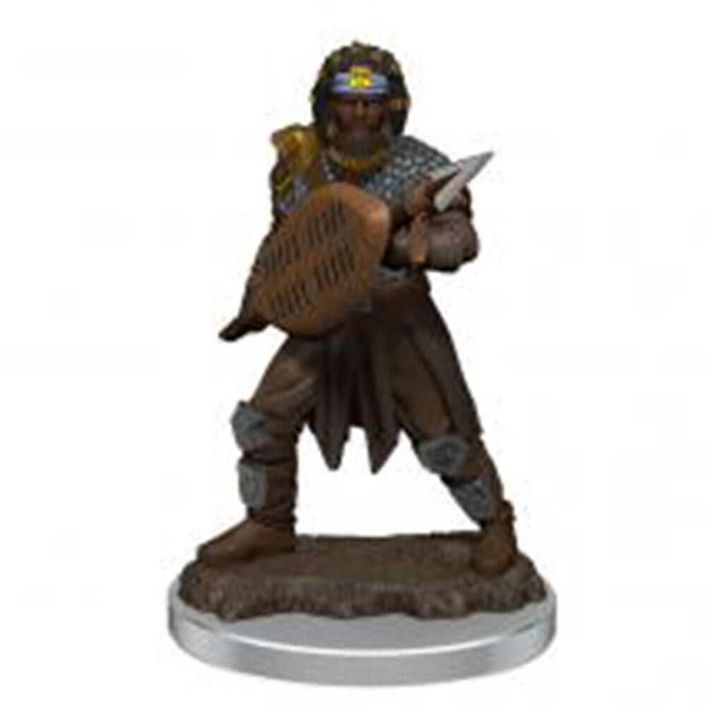 D&D Premium Painted Figures | Human Fighter Male