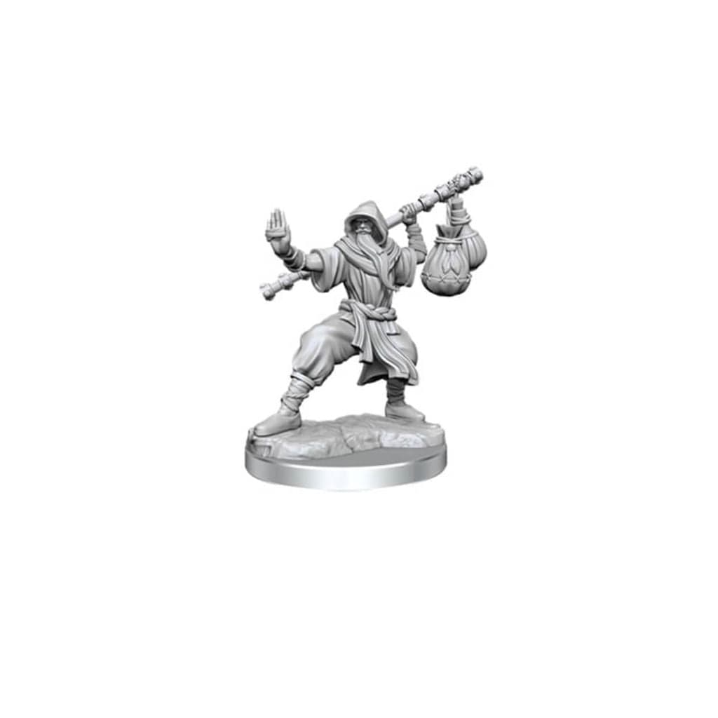 D&D Frameworks Human Monk Male