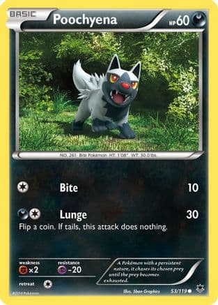 Poochyena 053/119 - XY Phantom Forces Reverse Holofoil