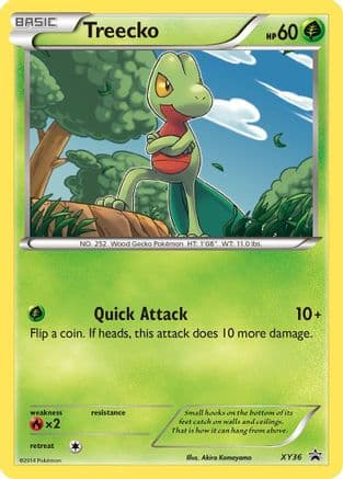 Treecko XY36 XY36/211 - XY Promos Holofoil