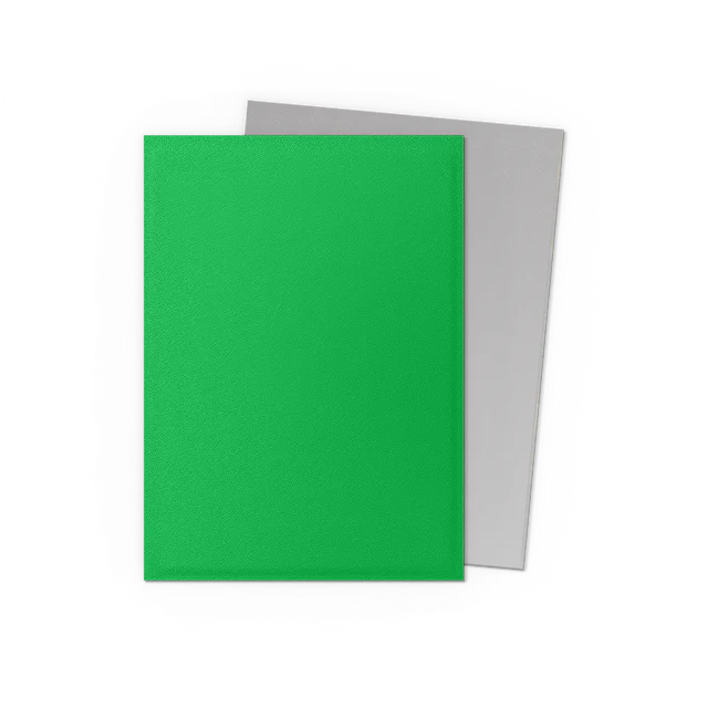 Dragon Shield | Standard Size Sleeves | 100ct | Apple Green & Silver (Dual Matte)