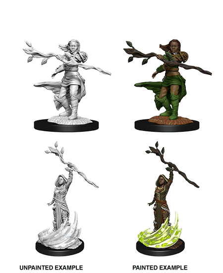 D&D Nolzur's Marvelous Miniatures | Human Druid (Female - B)
