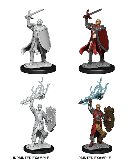 D&D Nolzur's Marvelous Miniatures | Half-Elf Paladin (Male)