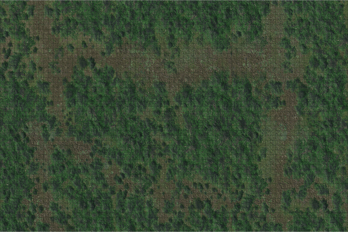 D&D Icons of the Realms | Forest Battle Mat