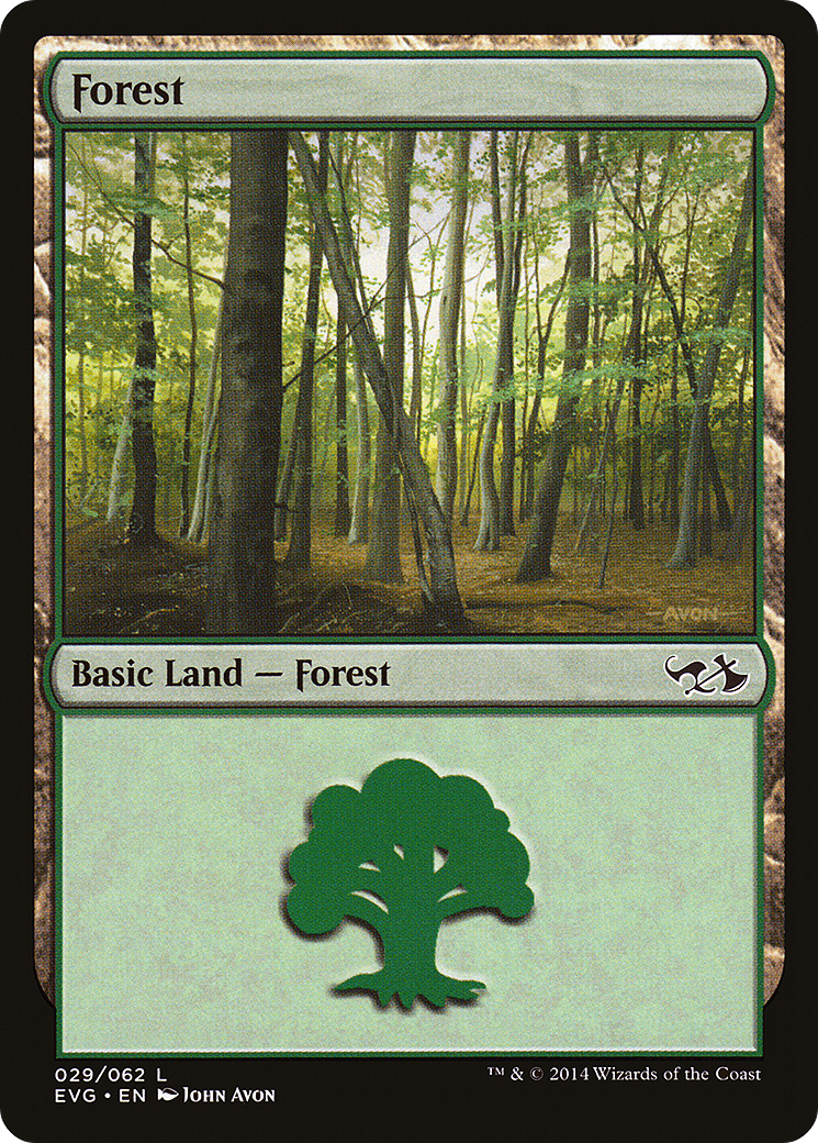 Forest (EVG-029) - Duel Decks Anthology: Elves vs. Goblins