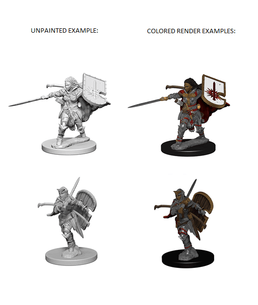 Pathfinder Battles: Deep Cuts Miniatures | Human Female Paladin
