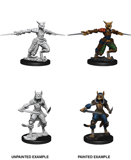 D&D Nolzur's Marvelous Miniatures | Tabaxi Rogue (Female - A)