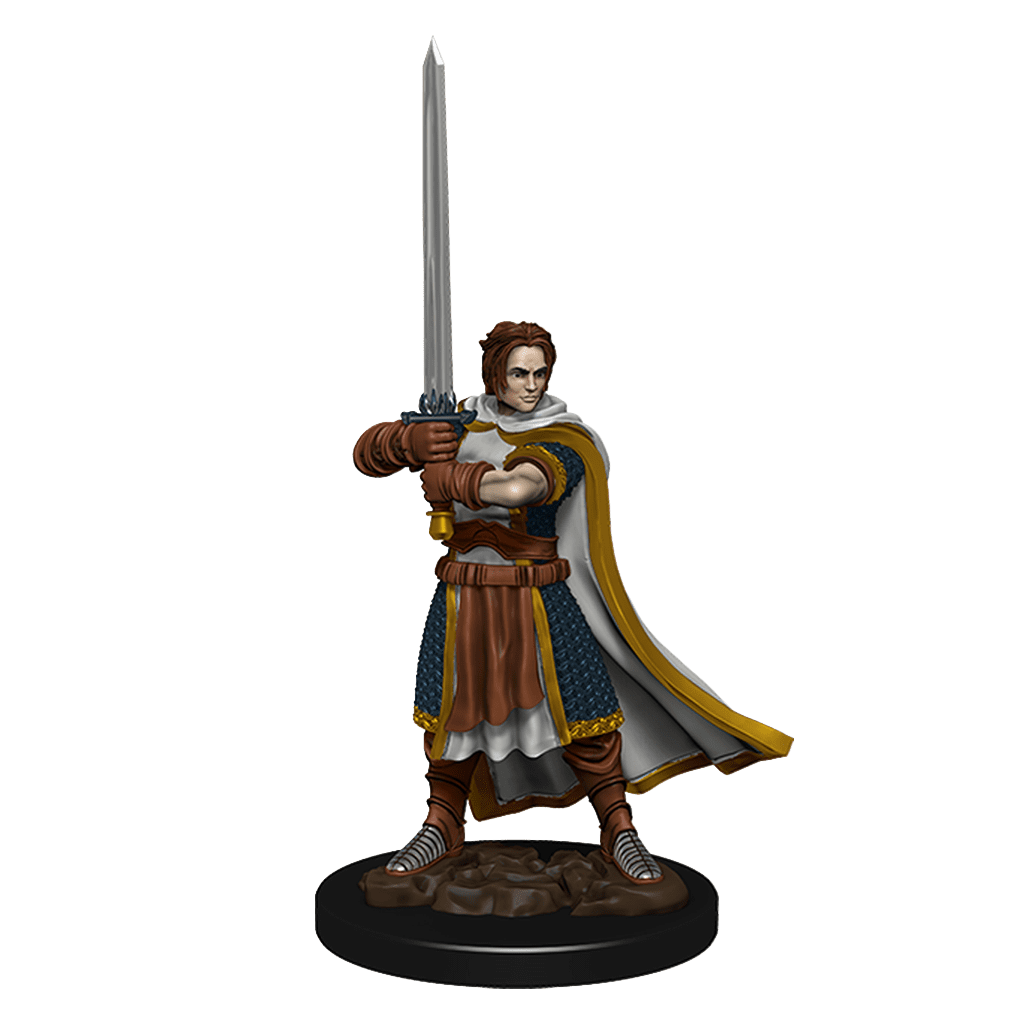 D&D Premium Painted Figures | Human Cleric Male
