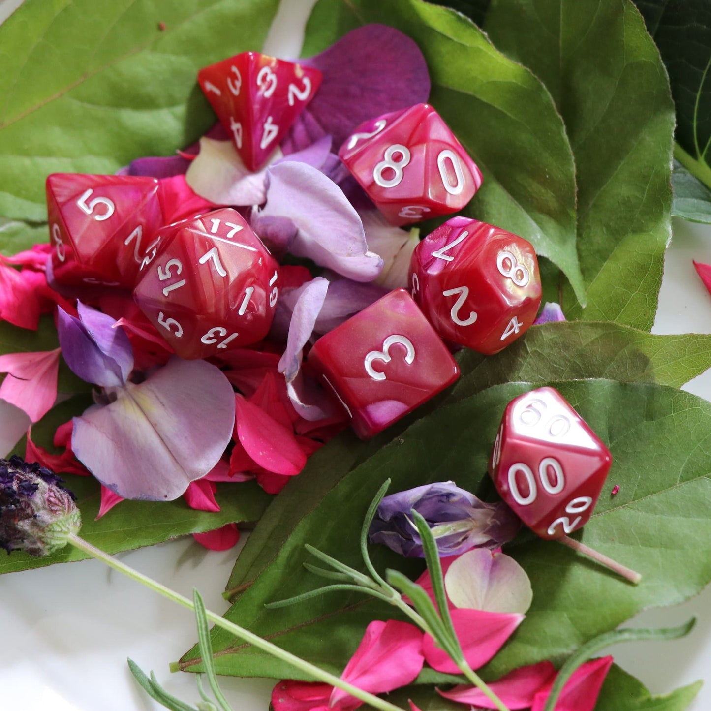 Polyhedral Dice Set | Acrylic | "Golden Rose Garden"| Set of 7 (D0053)