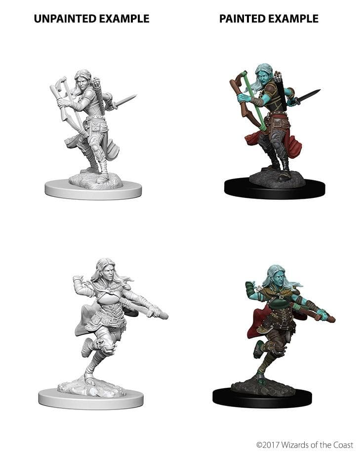 D&D Nolzur's Marvelous Miniatures | Air Genasi Rogue (Female)