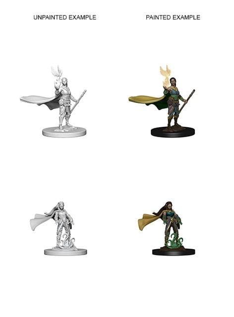 D&D Nolzur's Marvelous Miniatures | Elf Druid (Female)