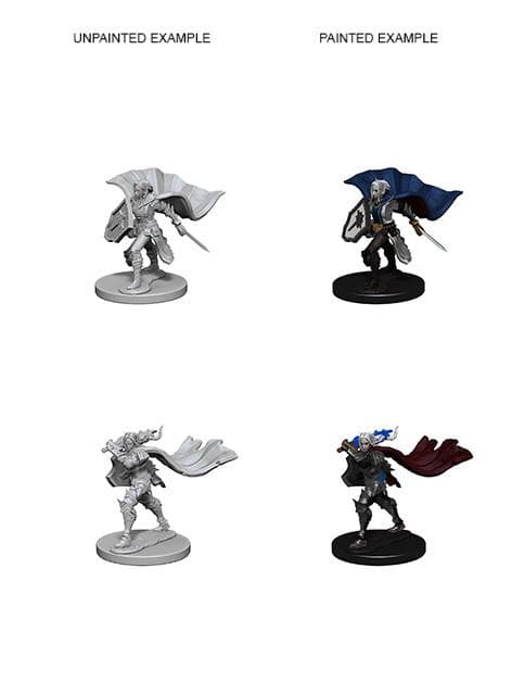 Pathfinder Battles: Deep Cuts Miniatures | Elf Female Paladin