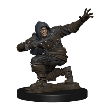 Pathfinder Battles Premium Painted Figure Human Rogue Male