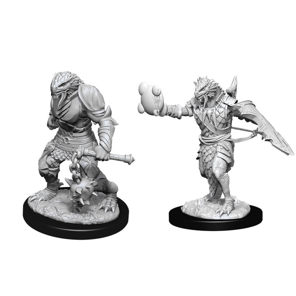D&D Nolzur's Marvelous Miniatures | Dragonborn Paladin (Male - A)