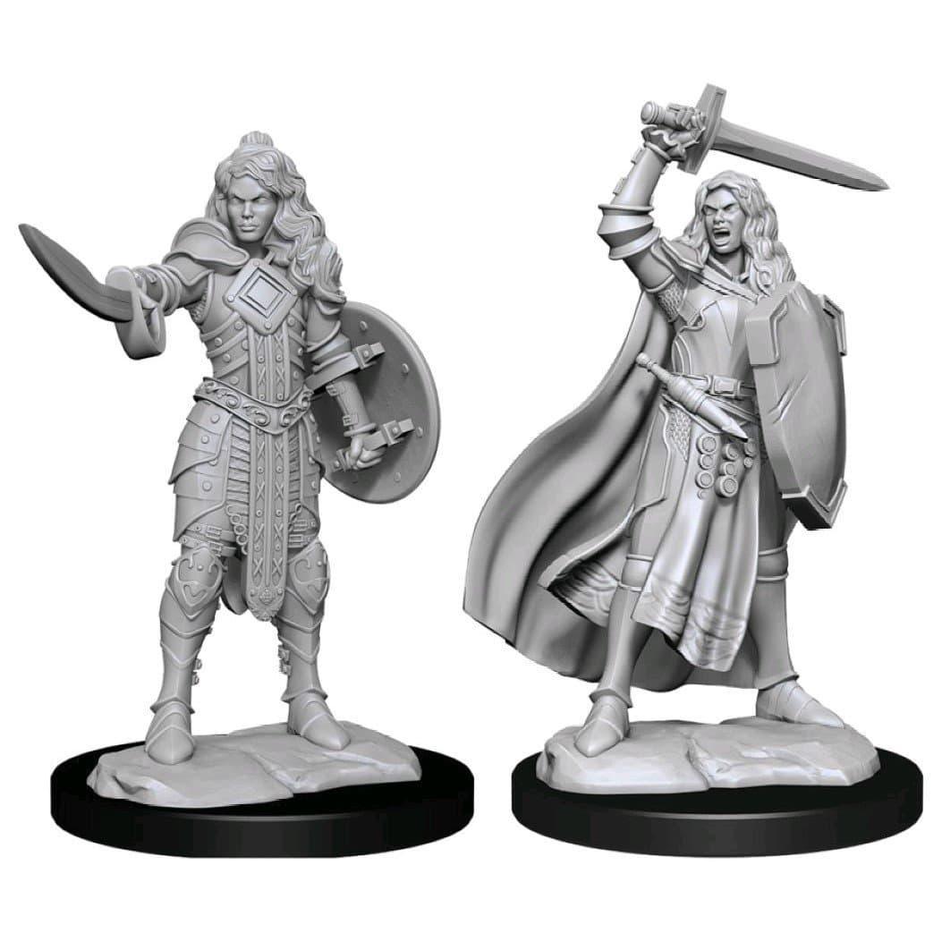 Pathfinder Battles: Deep Cuts Miniatures | Human Champion (Female)