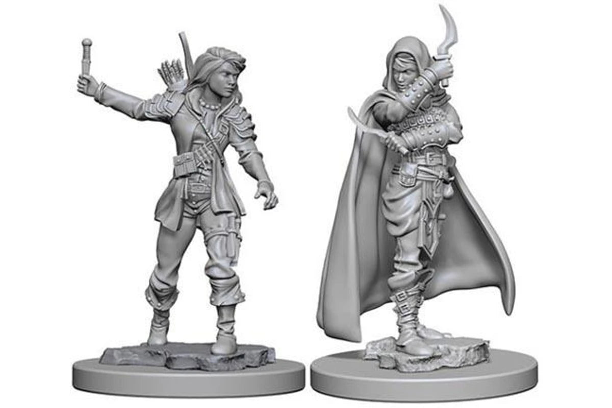 Pathfinder Battles: Deep Cuts Miniatures | Human Female Rogue