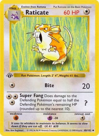Raticate 040  - Unlimited Base Set Shadowless - Uncommon