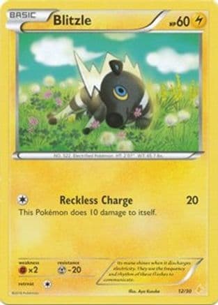 Blitzle 12- XY Trainer Kit Pikachu Libre & Suicune